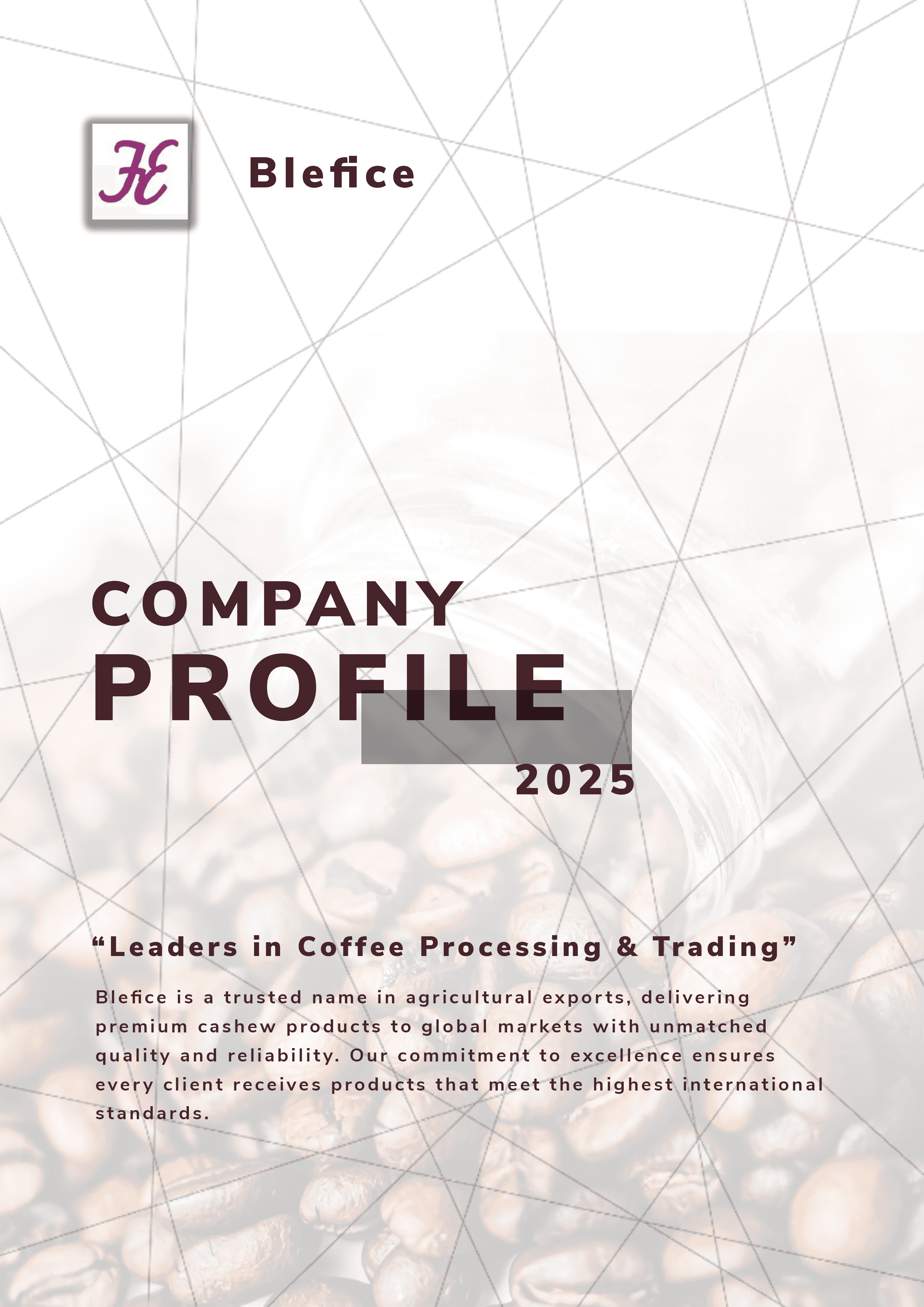 Deborah Driving Consultancy — Company Profile